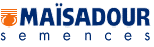 Майсадур