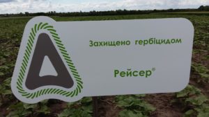 Адама9