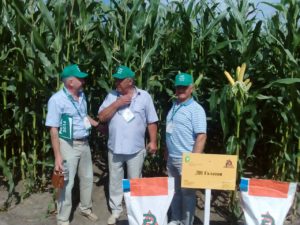 IMG_20160811_103117