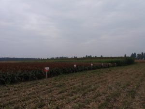 20161004_091826