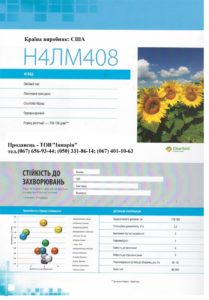 Нусид