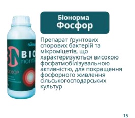 Біонорма Фосфор